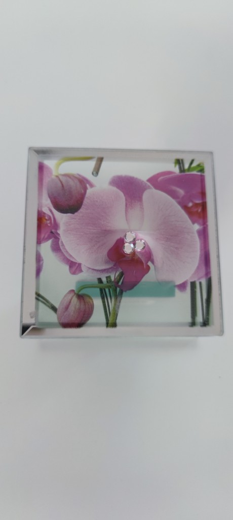 Glas-Orchideen-Wandhaken